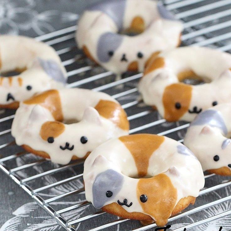 suzaku akai: cat doughnuts