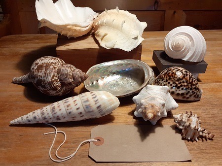 Museums Worcestershire (@worcestermuseum) on Twitter photo š£ Schools & home-schoolers! Competition time - we're challenging you to create a mini-museum worthy of being exhibited in our museum!
Head over to our website to find out how your learners can take part:
museumsworcestershire.org.uk/wp-content/uplā¦
<a href="/KingsWorcester/">King's Worcester</a> <a href="/FortRoyalSchool/">Fort Royal School</a> @WorcsChildren š£ Schools & home-schoolers! Competition time - we're challenging you to create a mini-museum worthy of being exhibited in our museum!
Head over to our website to find out how your learners can take part:
museumsworcestershire.org.uk/wp-content/uplā¦
<a href="/KingsWorcester/">King's Worcester</a> <a href="/FortRoyalSchool/">Fort Royal School</a> @WorcsChildren
