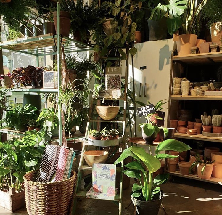 Have you hit the shops yet? We can't wait to head to <a href="/Forest_london/">Forest</a> and pick up some leafy friends 🌵🌱🌿 #plantinteriors #homegrown