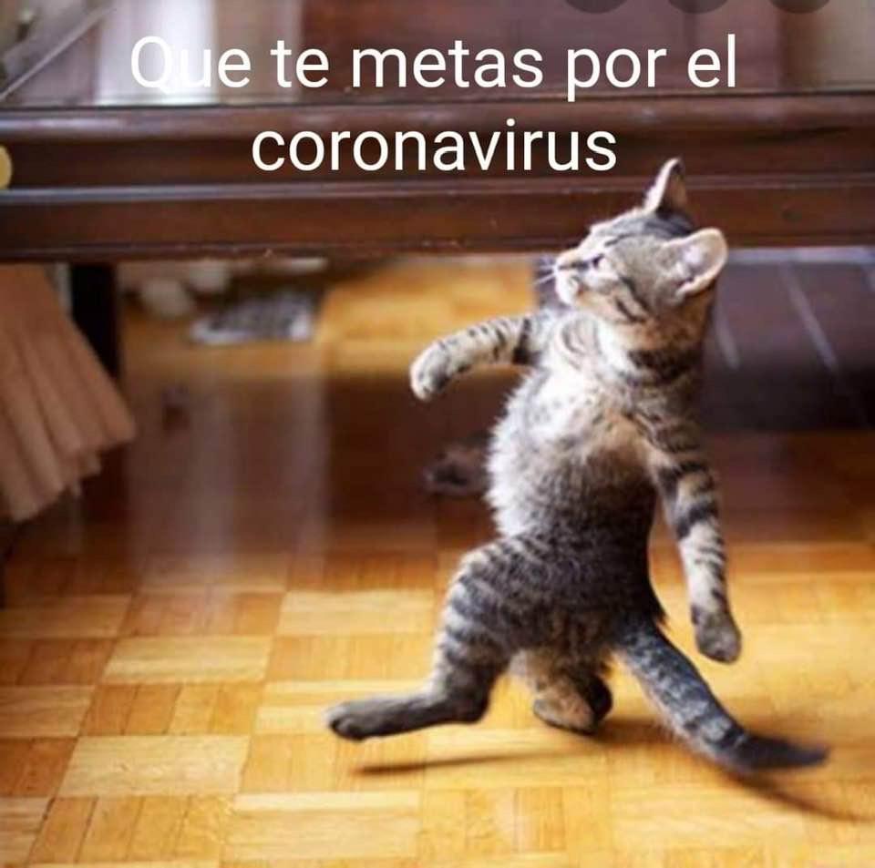 ZITLENTERTAINM1's tweet image. Qué  hacemos #Mesalgo #Mequedo