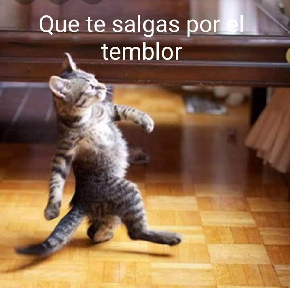 ZITLENTERTAINM1's tweet image. Qué  hacemos #Mesalgo #Mequedo