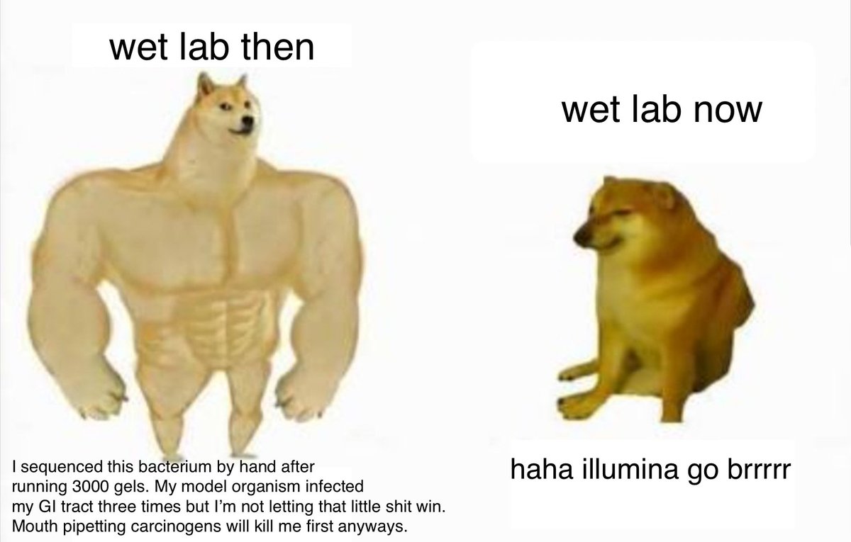 MicrobeGoogling (@microgoogling) on Twitter photo 