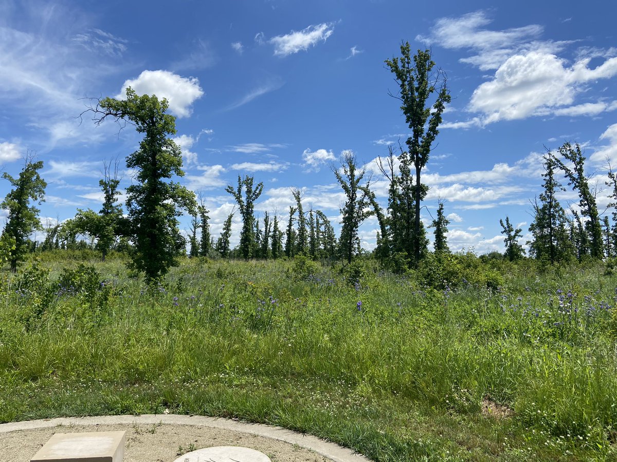 kasaan05's tweet photo. Itโs a good day for a good day! #BikeWeather #FreshAir #NatureHeals https://t.co/qdcpEmXjic