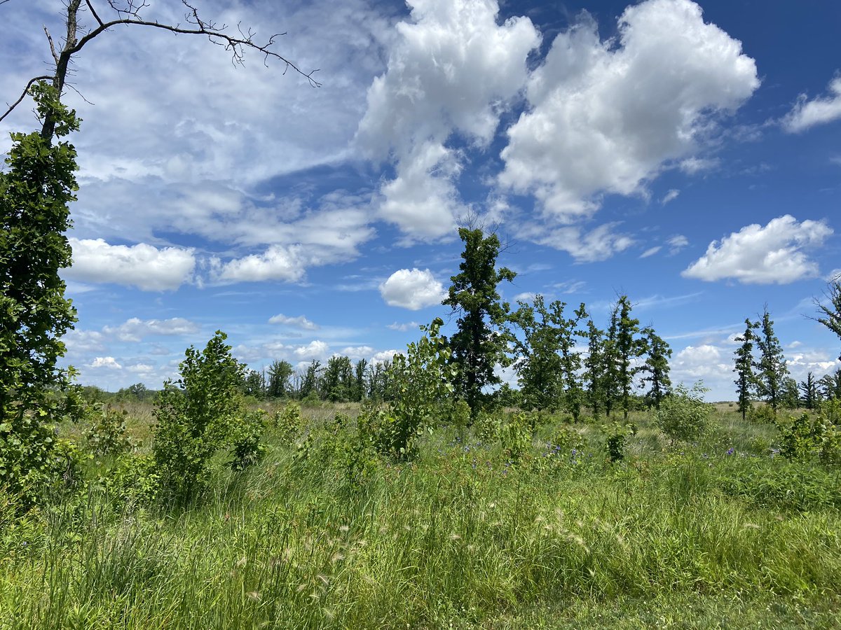 kasaan05's tweet photo. Itโs a good day for a good day! #BikeWeather #FreshAir #NatureHeals https://t.co/qdcpEmXjic