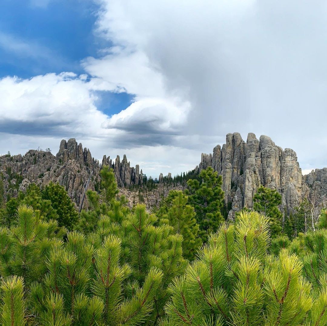 We love this view of the Cathedral Spires. RT if you do too! <a href="/CusterStatePark/">Custer State Park</a> bit.ly/3diXFeC

📷: bit.ly/3cKeuhE