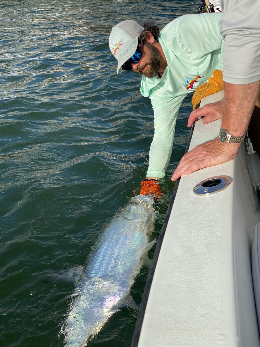 GrandeTarpon's tweet photo. #tarpon #fishing https://t.co/Z80uHwTY5q