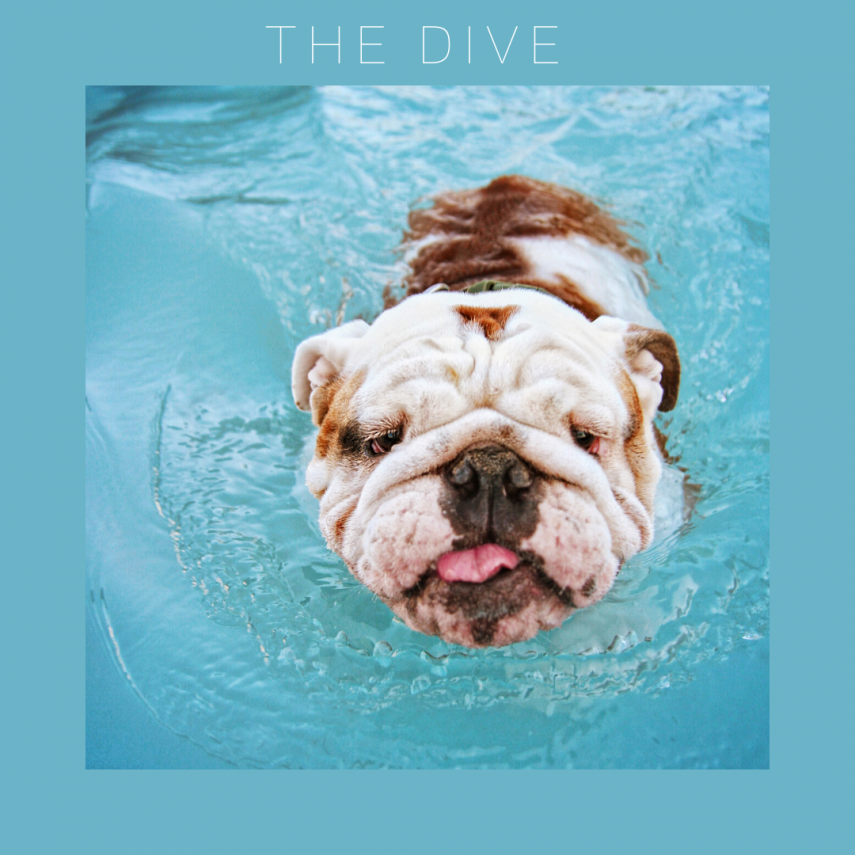 The Dive #8 is.gd/0CSVed
#NDYD #Disco #Nudisco #Myname #Koreywade #Limonlimon #Michealleclerq