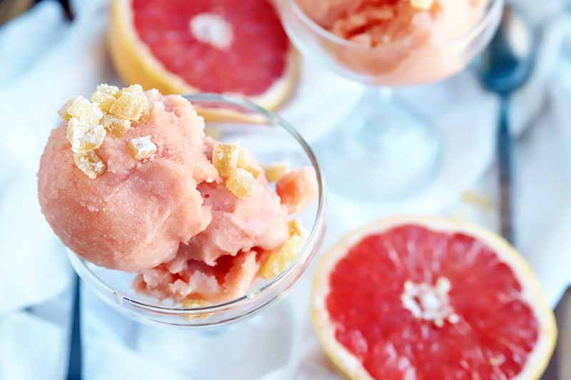 ren kizaki: sparkling grapefruit and honey sorbet
