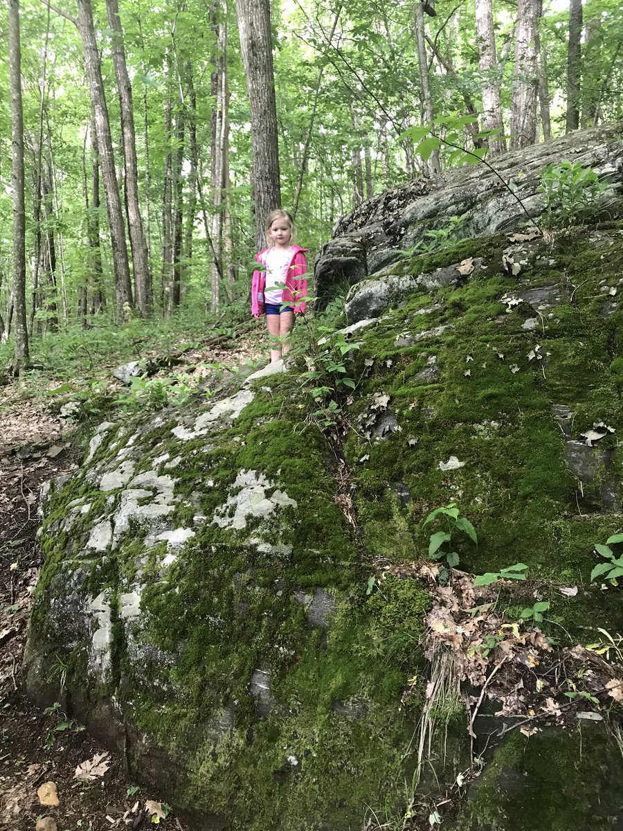 MrsKDunnagan's tweet photo. #spotasquirrel #appstatealphagams #nualpha @AppAlphaGam Morning hike at Elk Knob with my 5 year old.  We spotted these adorable squirrels!  @alphagammadelta #legacy #Arabella https://t.co/bUtXQlz63Q