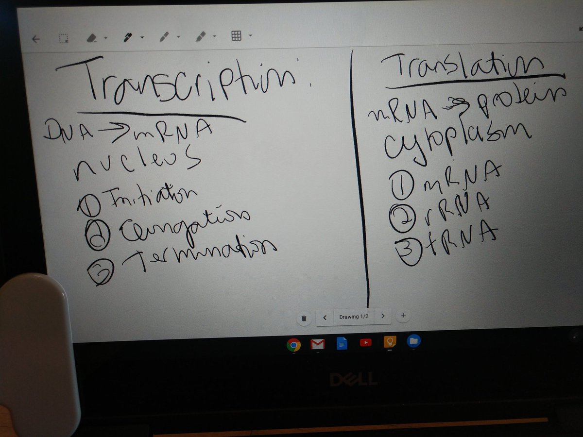 Ms_Maestas's tweet photo. First day of summer biology. I'm not sure my writing on the Chromebook will ever improve!! That's my goal for the summer! #summerbio https://t.co/qXH5GX2ISu