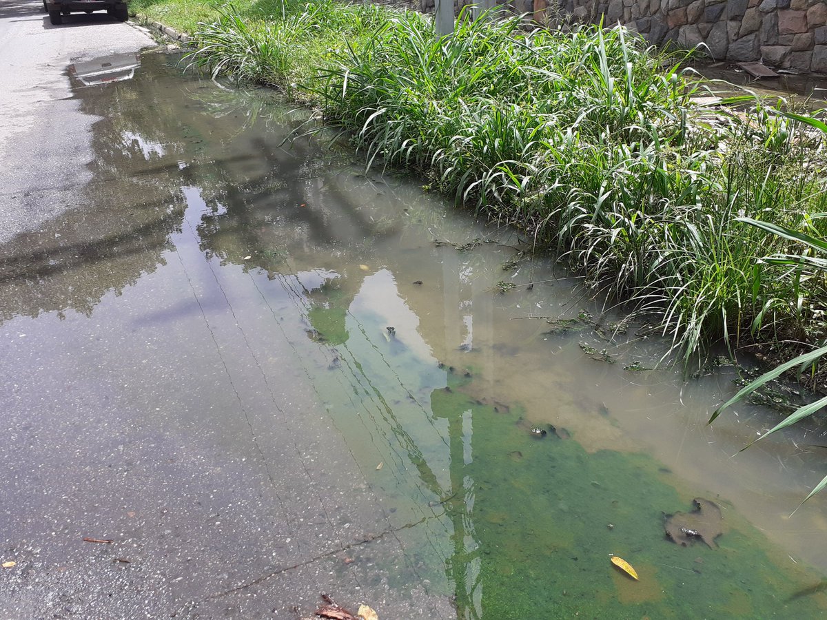 🚨 Sr @AlcaldGustavo10
🚨 #Sres   🚨 <a href="/Hidrocentro2011/">HIDROCENTRO OFICIAL</a> <a href="/alc_naguanagua/">Alcaldía de Naguanagua</a> <a href="/fundanagua/">Fundanagua</a> 3 meses con  #BoteAguasDeNegras en  #PaseoVenezuela #GranjaQuintas 500 Familias Afectadas
<a href="/comunidadrecla/">lacomunidadreclama</a> <a href="/gramirez2013/">gerardo ramirez</a> <a href="/entrevecinosve/">Gerardine Escobar</a> <a href="/OlympicTorreA/">OlympicTorreA</a> <a href="/MerceCarrasquel/">Mercedes Carrasquel</a> <a href="/tinatrini/">Infinitas gracias</a> <a href="/rafaellacava10/">Rafael Lacava</a>