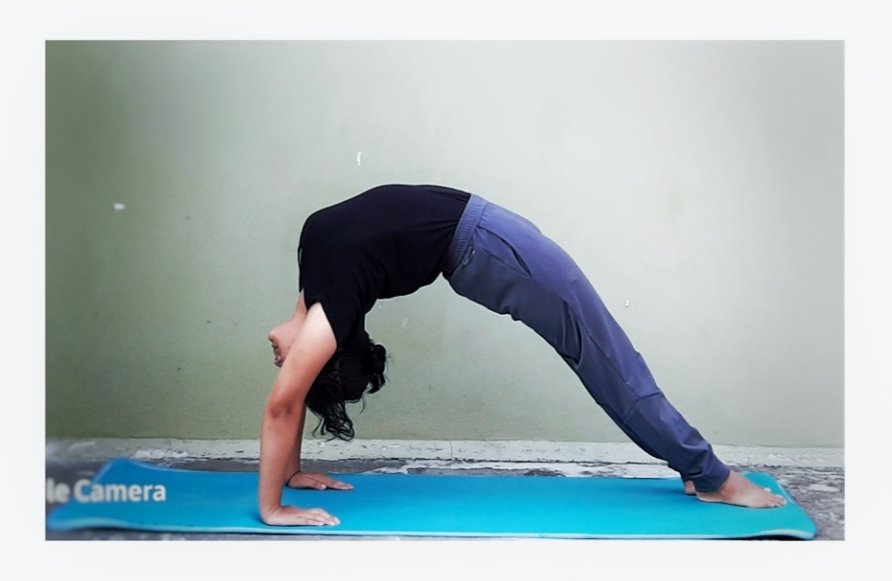Tanujamehra18's tweet photo. #Setubandhchakaraasana
#patanajaliuniversity
#yogathome
#yogforimmunity
#yogforall
#yogyatra
#ShareWithPride https://t.co/WsTJvRYL56