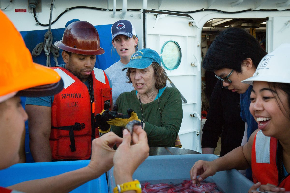 Scripps_Ocean's tweet image. Tune in to hear Scripps marine ecologist @LlevinAnn and @PeterMHaugan share key findings from a new #BluePaper on #OceanEnergy &amp;amp; #DeepSeabedMining in an upcoming webinar on June 24, 12:00 pm EDT. Register here: bit.ly/2MTd09C