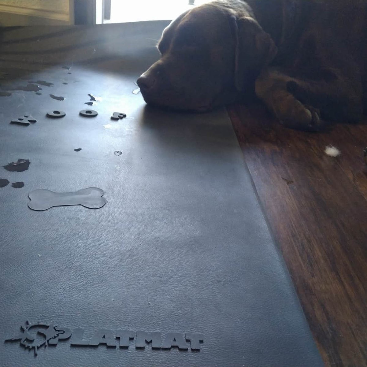 SplatmatL's tweet photo. At Splatmat Ltd, we are focused on providing customer experiences that will leave you wondering how you could have ever worked with anyone else. Visit us today at 1800 Commerce St Ste A, Boulder, CO 80301 for more information! #CatMats #DropCloths #CarMats https://t.co/ls0QgKsbl3 https://t.co/Awv0XaLkvw