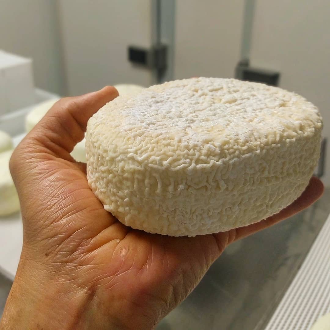 Un queso pequeño y sencillo pero delicioso y
con mucha verdad. Leche entera de vaca a pastoreo recién ordeñada, cuajado con sus propios fermentos naturales y moldeado manualmente a cucharón. Todo eso es #Biesca