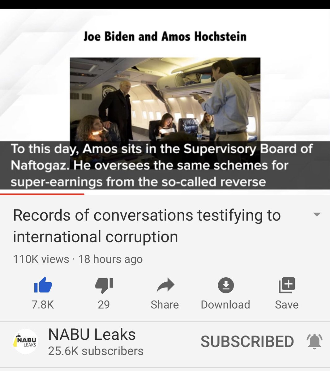 The investigator is highly sarcastic which is funny in this sad tale of corruption. Anyway, he reminds us what we heard back in Nov about the corruption, incl Hochstein being the Biden henchman watching over Naftogaz for him