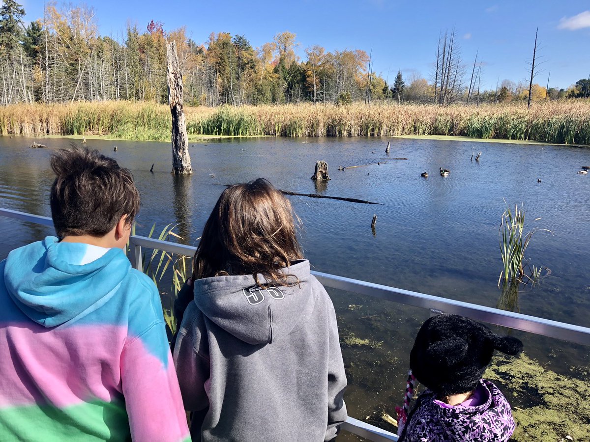 Virtual graduation has me reflecting on the year... Starting the year at <a href="/FerndaleWoods/">Ferndale Woods</a>, the grade 8s in my class were hilarious, kind and welcoming. Their kindness carried on through the year as they became kindergarten learning buddies. Congratulations, you made it! 🎉👩🏻‍🎓
