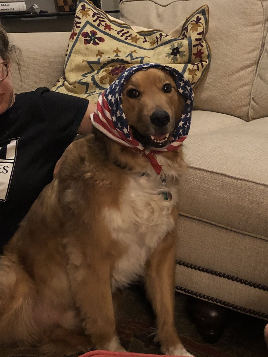 urpalbri's tweet photo. Time to get off here again for awhile. Too much of a brain drain. But I’ll leave you with some pics of cute animals in my home https://t.co/yCSm2Lmi1h