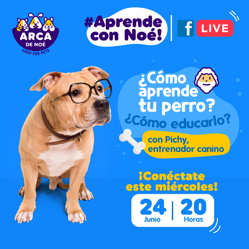 ARCADENOEGT's tweet photo. Conéctate con nosotros este 24 de junio a las 8:00 de la noche en facebook para nuestro #Live
Con Pichy Entrenador Canino 🙋♂️ Te ayudará a ¿Cómo aprende tu perro? ¿Cómo educarlo?
No te lo pierdas! 🤩
#ArcaDeNoé #ShopForPets https://t.co/IIeYyqjTG5