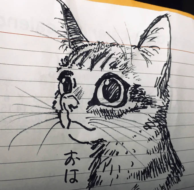 おはようございます! 