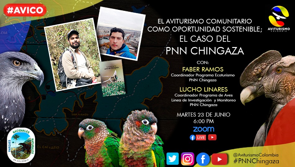 El Aviturismo como oportunidad para el desarrollo sostenible de las comunidades rurales. El caso del PNN Chingaza
youtu.be/un-Gpi4NNS0