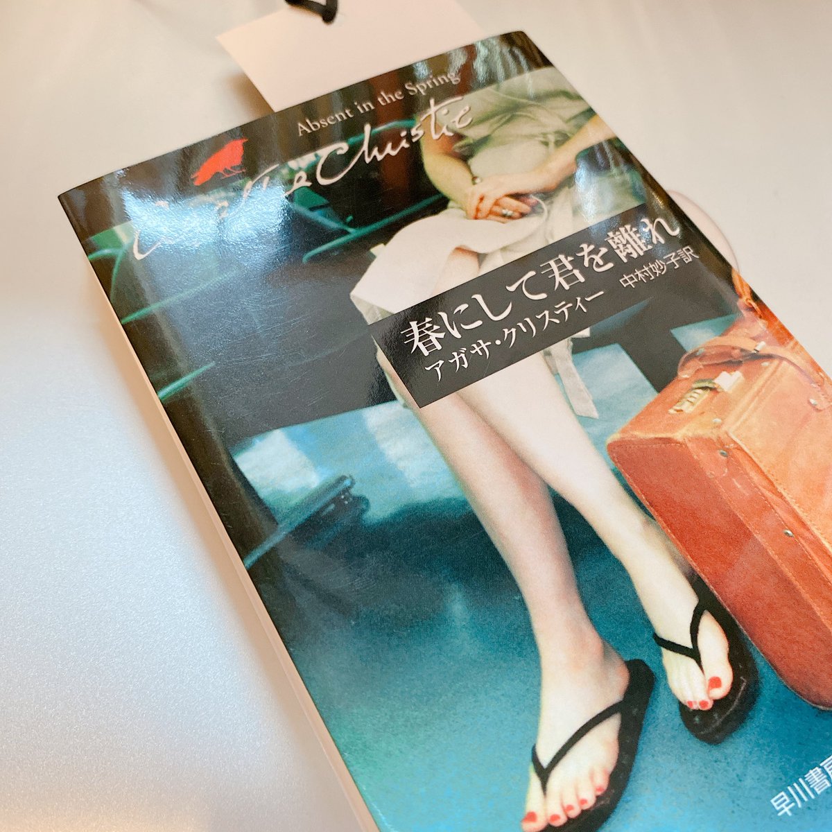 桐沢たえ 読了した 面白かった おそらく作家本人とは対極に位置する浅はかなクソおばさんの気持ちを描写できることが凄すぎるしこれを 恋愛小説 と言い張るアガサ クリスティーめっちゃイケてるな あと引用されていたシェイクスピアのソネット116番良