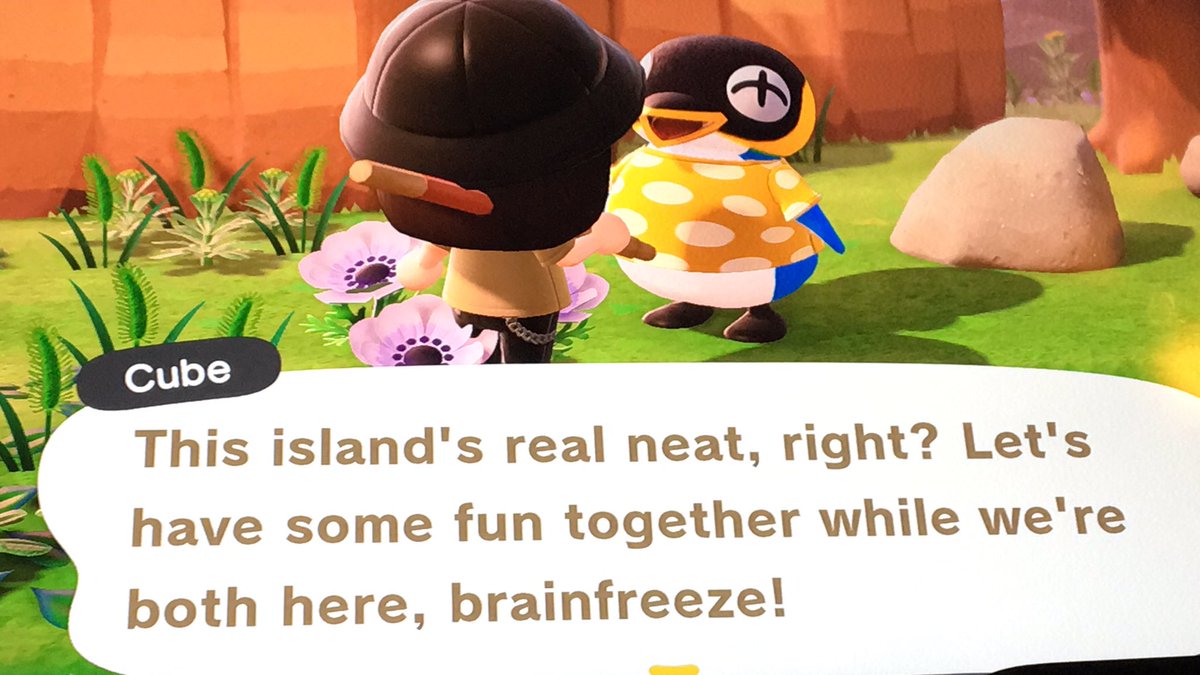 ok he’s really cute but is he roald? no.