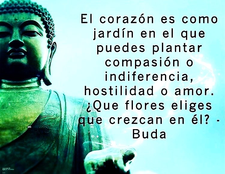 ven_ed's tweet image. 