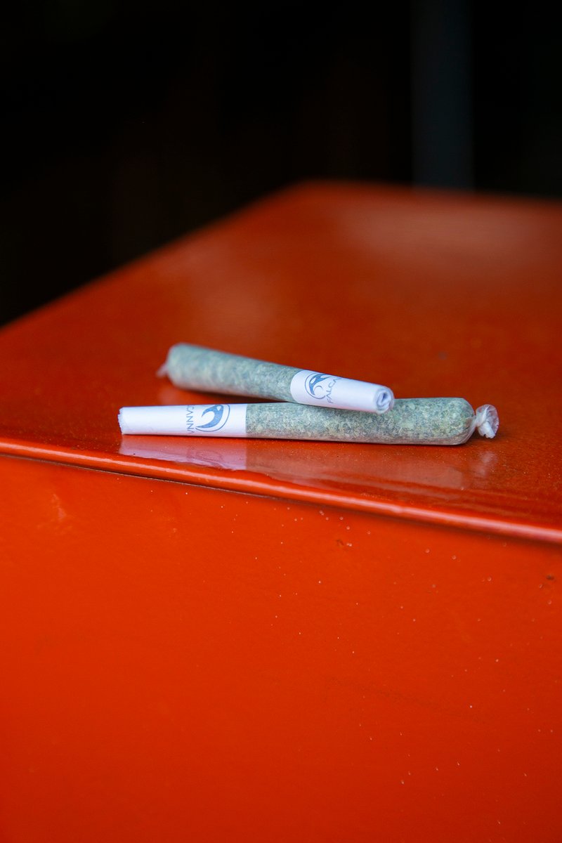 Falcanna (@falcanna_wa) on Twitter photo 