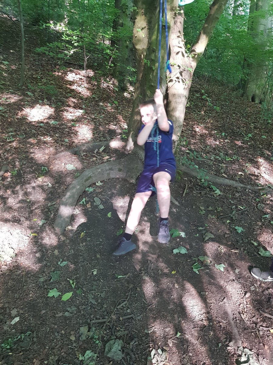 jljarman's tweet photo. @BirstallAcad Lovely walk in Briar Woods this evening. Jack recalling his knowledge of types of trees. #thegreatoutdoors #treespotting #scienceandnature https://t.co/HrxSHMx1vJ