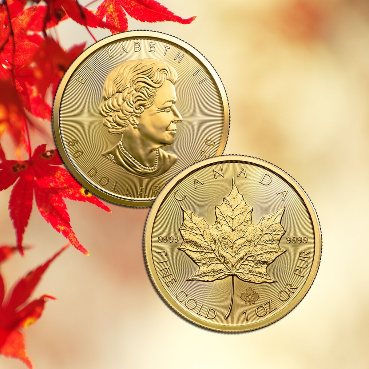 The 1 oz. Gold Maple Leaf has appealed to both investors and collectors