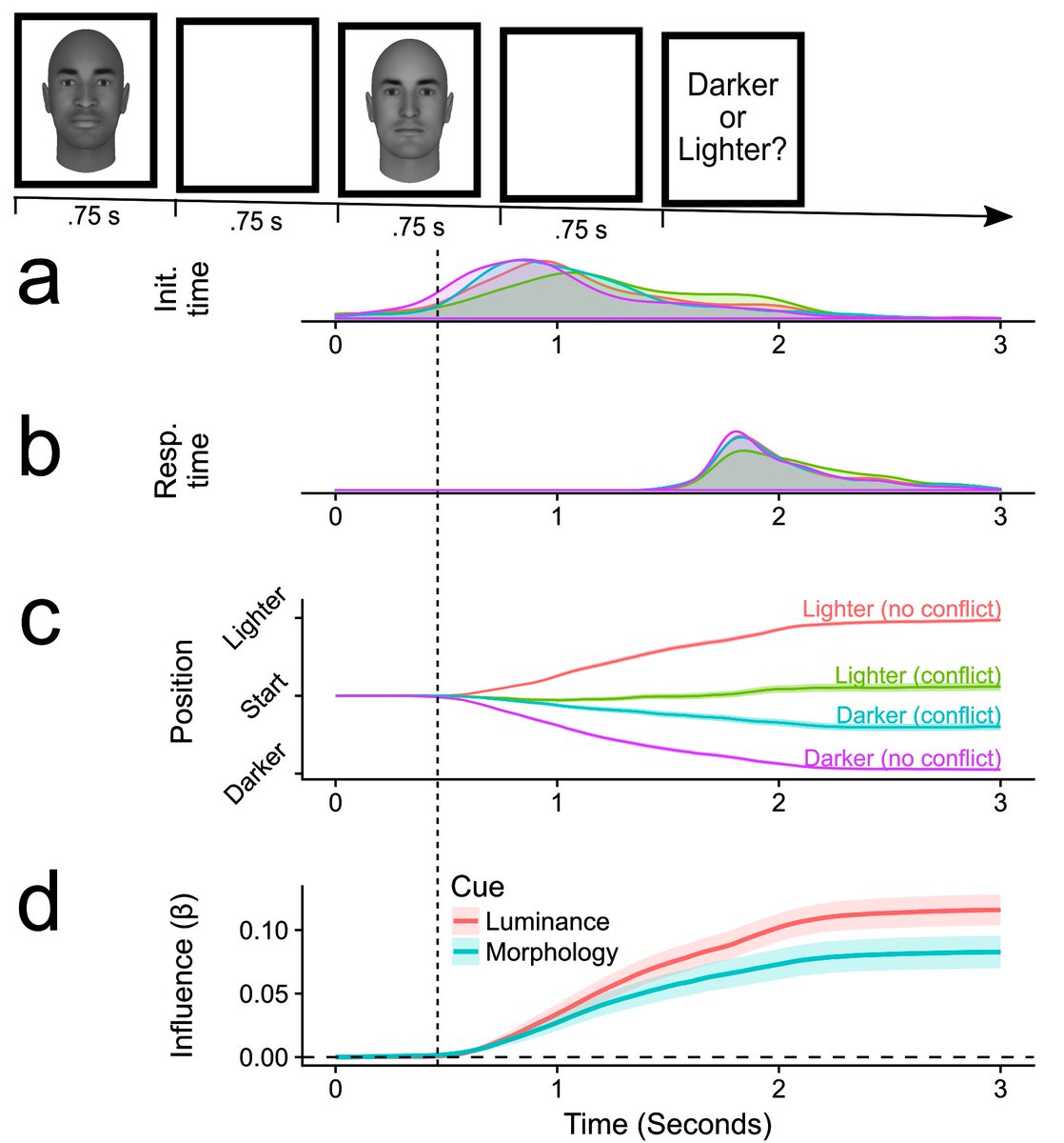 First, how quickly does this bias emerge? We used mouse tracking to see when differences in actual lightness and facial features began to affect motor output as participants judged which of two faces was lighter. We found that both cues kick in at around the same time, ~ 0.5 s