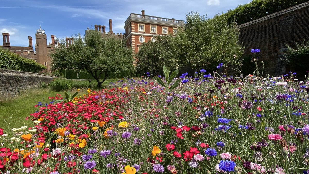 With the gardens at #HamptonCourtPalace now back open it’s so wonderful to see people enjoying them again! 🌼

These are gardens that have been developed over centuries: in our latest blog we delve into the winding history of the Wilderness  👉 bit.ly/wilderness-blog
