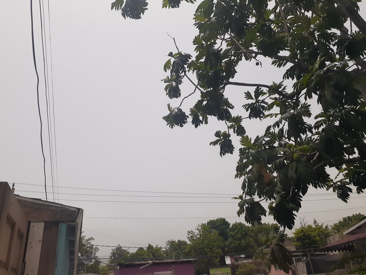 officialFocus_'s tweet photo. Skies all messed up, can't even c the mountains again 🙄....... https://t.co/mNjVeRrIsE
