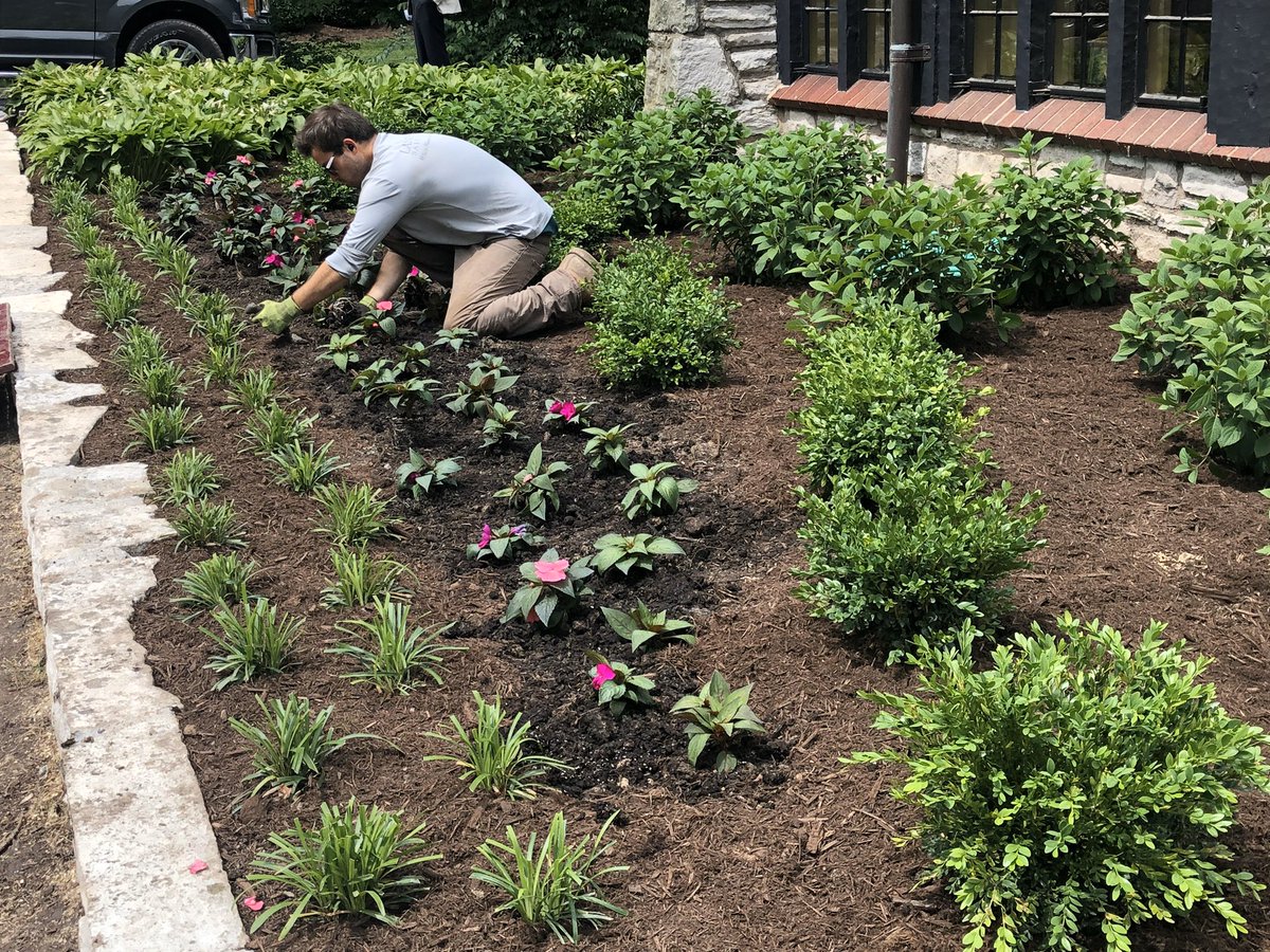 Landscape_STL's tweet photo. Working hard this summer so you don’t have to! https://t.co/KdqszvyTQ2