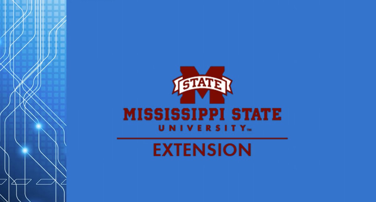 MSU Extension CTO tweet media