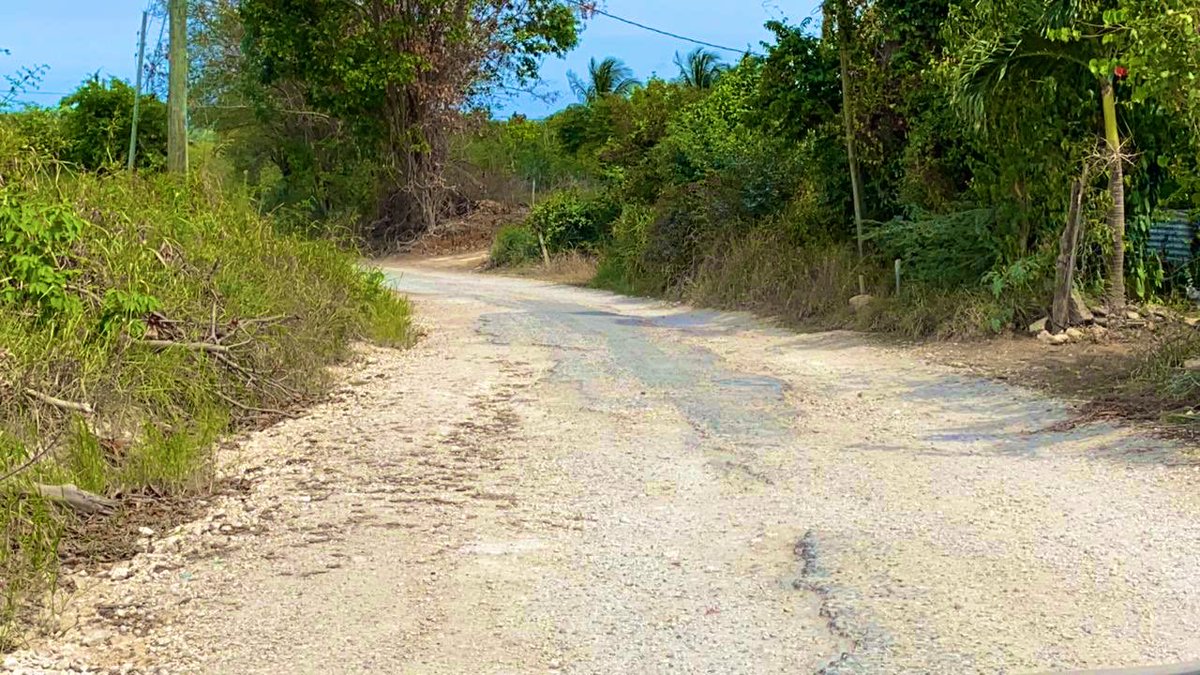 pcharlesjr's tweet photo. Current state of the Rosewell road but it’s about to change! The work has begun &amp; I’ve asked the contractor to work with @NWCjam &amp; @NWA_JA to repair &amp; improve water transmission lines in the area simoultaneously.
#Building &amp; #Developing South East Clarendon. #ModelConstituency https://t.co/x0XxOevH2J