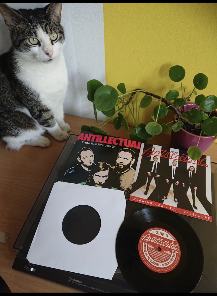 fredohc's tweet image. Nuevo lanzamiento de @antillectual  disponible en @OutsidersRecs #preorder #diy #punklabel #vinylordie