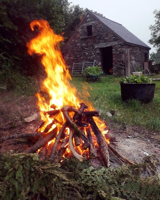 Irish Archaeology tweet media