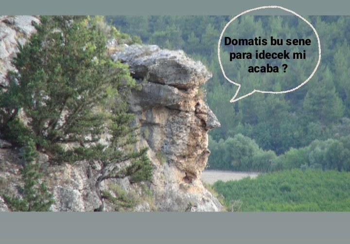 Trump da olsan Mersin değiştirir adamı...