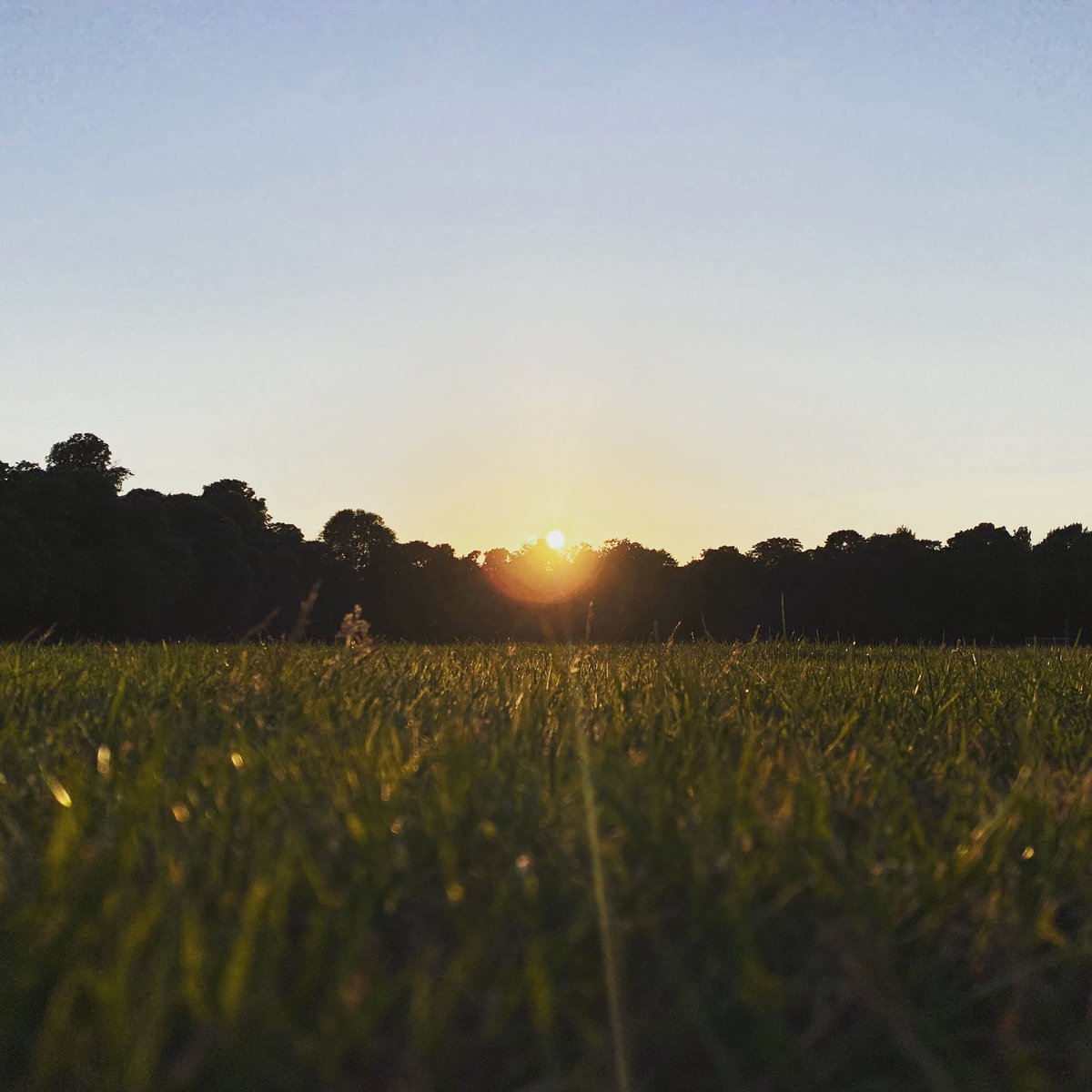 thomasaevans's tweet photo. Sunset in the park. #cardiff #blackweirfields https://t.co/NH3leRHsak