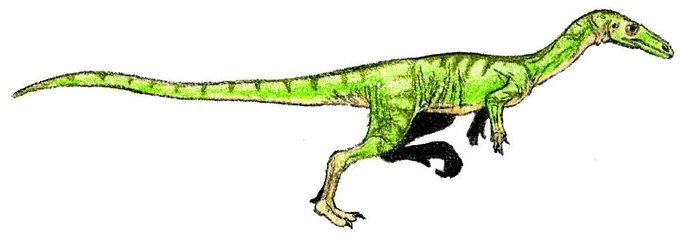 Procompsognathusのtwitterイラスト検索結果