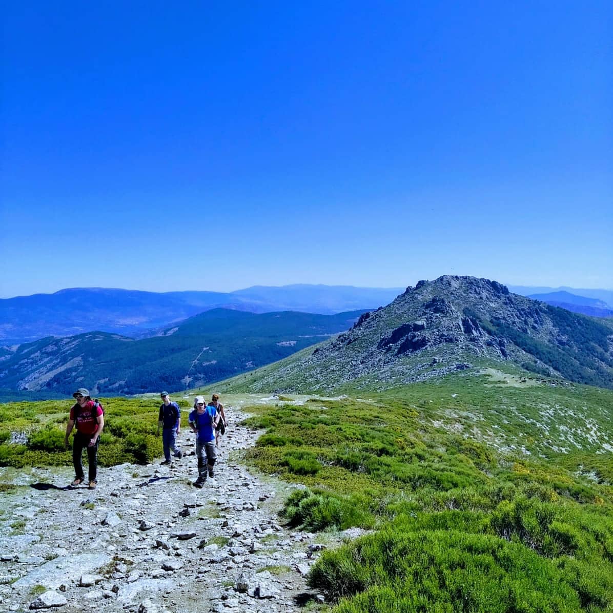 planging_es's tweet photo. Plangers montañeros en el Pico de la Morcuera. Apúntate a planes como este en Planging 
#Planging #planazo #planesdefindesemana #planesgratismadrid #madrid #planesguays #planparaelfinde #conocergentenueva #conocergente #montaña #montañismo #excursiones #naturaleza #amigos https://t.co/9KilytMlkg