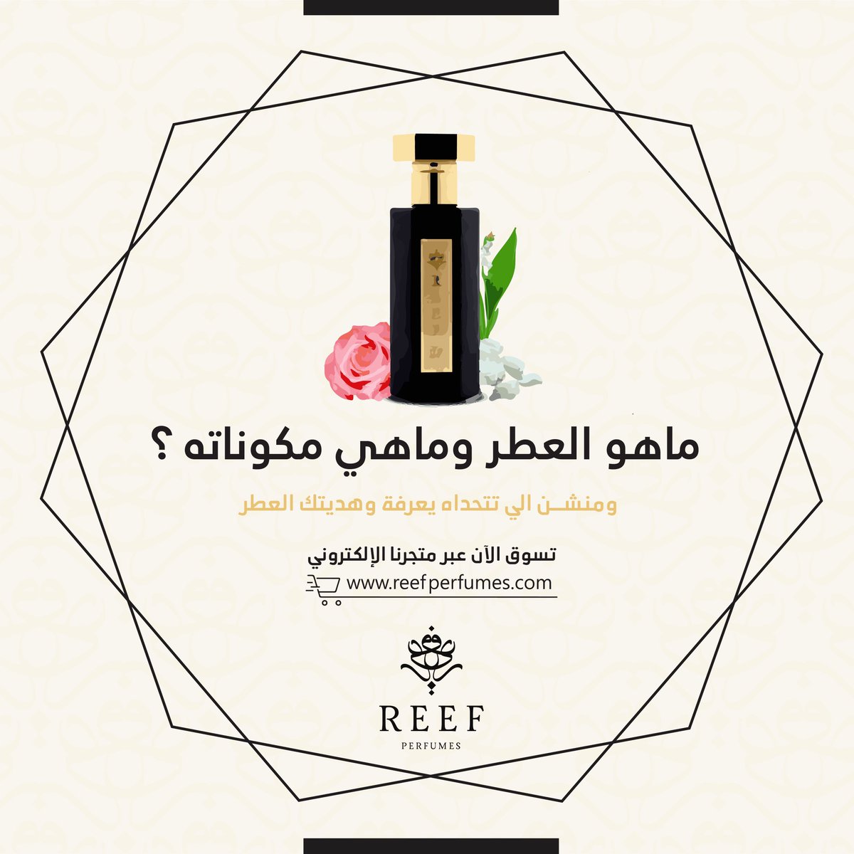 موقع ريف العطور