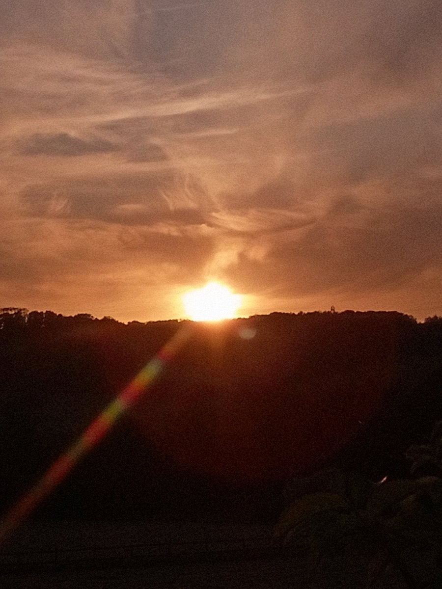 Steve Halliwell (@stevehalliwell5) on Twitter photo 