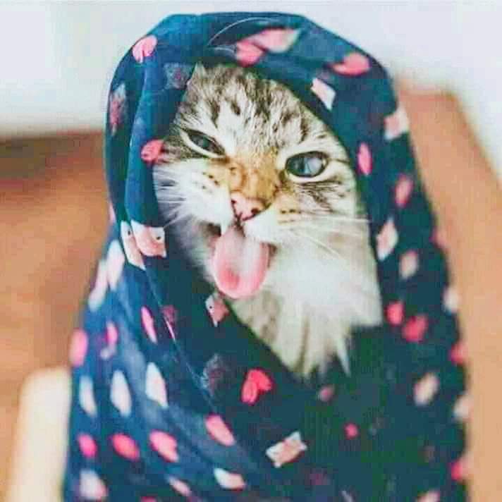 HareemS41909830's tweet photo. Jb Meri bestie ka husband ghoonghat uthay ga. 
🤣🤣 https://t.co/0SnzysHnRD