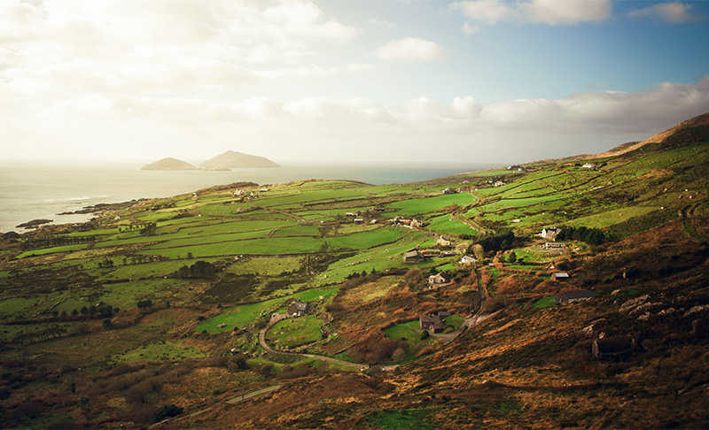 StatenArts's tweet photo. Irish Music, Home Cooks + Free Artist Workshops (from the Experts!) - https://t.co/zWo5FQJhi6 https://t.co/9Gbaspesl7