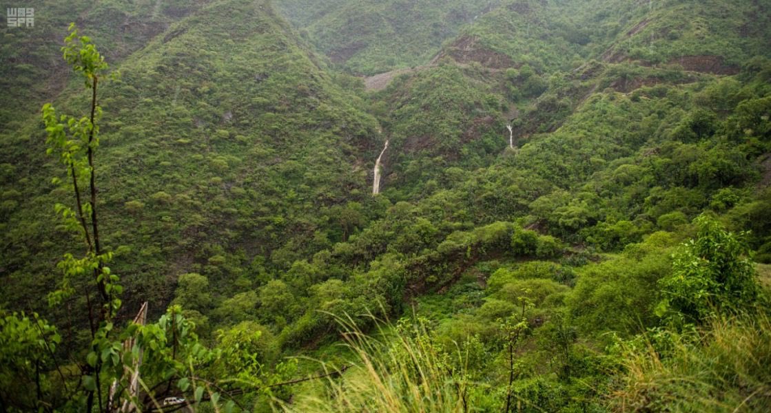 bandaralallmae's tweet image. رجال ألمعَ يا قيثارةً عَزَفَــتْ
 نبضَ الحياةِ وأطيافَ المساءَاتِ
مازِلتِ فاتنتي روحي وملهمتي
ودَهشة الحُلمِ في أحلى مناماتي
 #رجال_المع