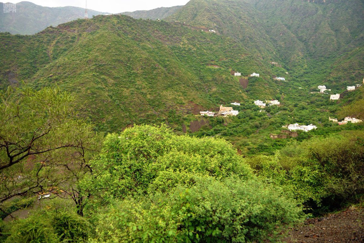 bandaralallmae's tweet image. رجال ألمعَ يا قيثارةً عَزَفَــتْ
 نبضَ الحياةِ وأطيافَ المساءَاتِ
مازِلتِ فاتنتي روحي وملهمتي
ودَهشة الحُلمِ في أحلى مناماتي
 #رجال_المع