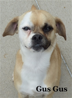 Animal Care Society tweet media